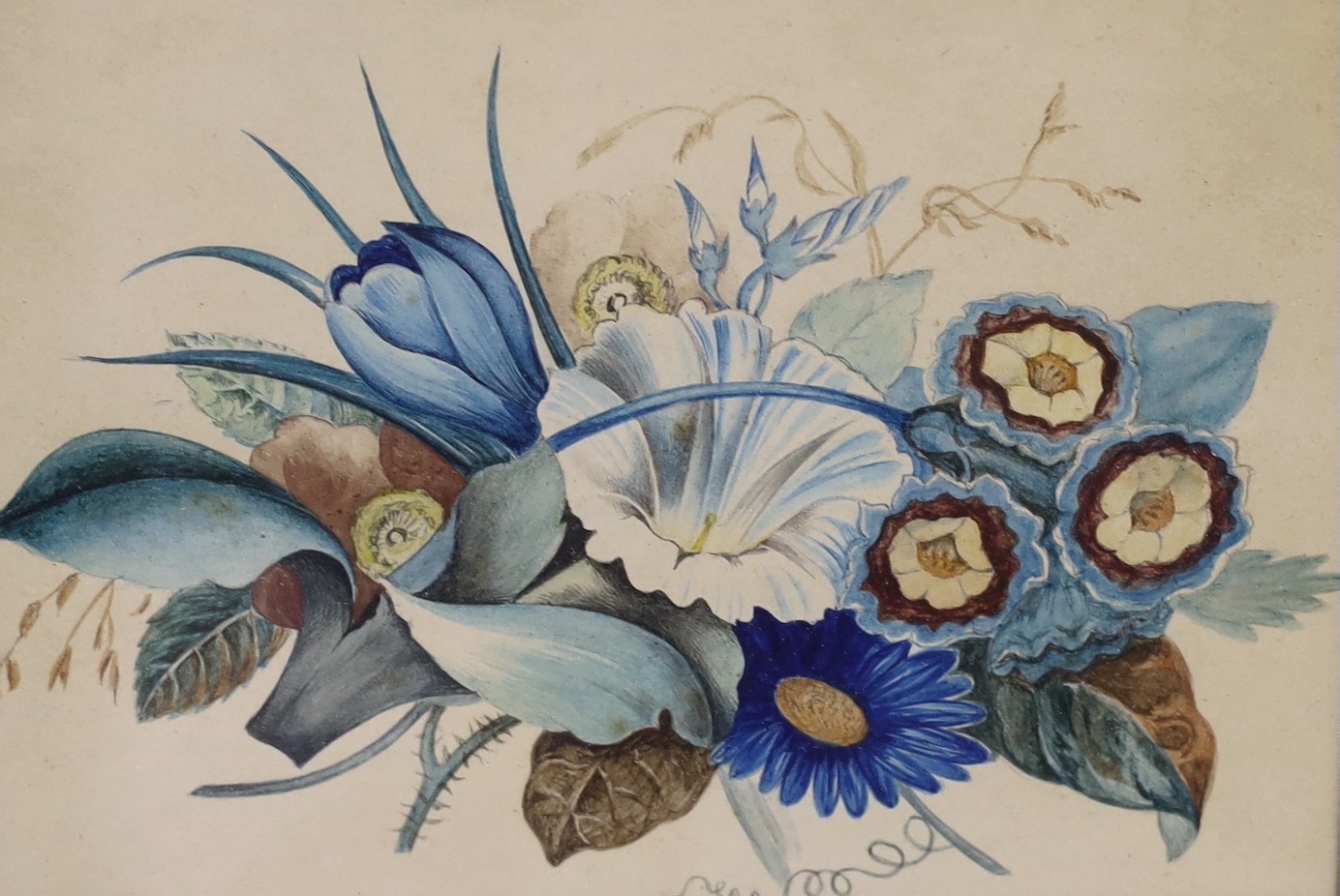 Victorian School, four watercolours, Botanical studies, largest 17 x 24cm, housed in two frames